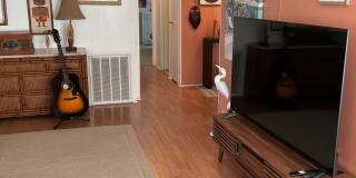 19219 Meadow Brook Ct Gallery 8