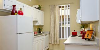 Summer Winds Gallery 25