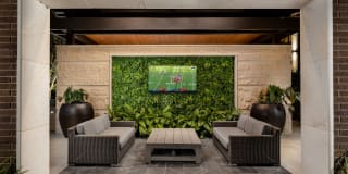 Arcadia Dr. Phillips Arcadia Dr. Phillips Gallery 29