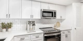 Palm Trace Landings Gallery 35