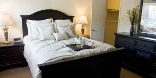 Wellington Woods Gallery 2