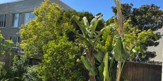 Epic REA- Serene 2 BR/1 BA Flat w/Private Deck & Yard in Lone Mountain Gallery 61