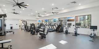 The Maddox Gallery 40