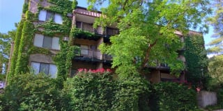 Mt. Adams Living Gallery 15