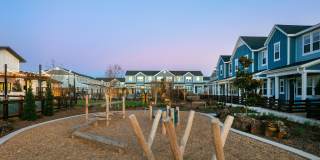 Cadia Sherman Gallery 42