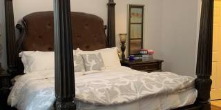 3443 Treaty Oak Trail Gallery 10