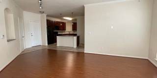 Downtown / Williams Brice area Gallery 5