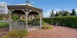 Swan Creek Gallery 17