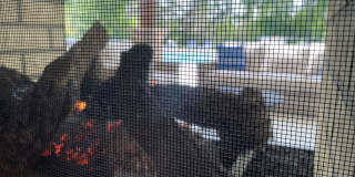 Wren | 3 Bed 2.5 Bath | Garage | 1729 sf | $2831 - $3114 | 8, 9, 10, 12, 14, and 15 month lease terms Gallery 125