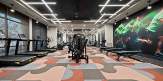 Blume on Central Gallery 42