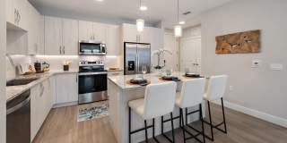 Mira at Palmer Ranch - 55+ Senior Living Community Gallery 18