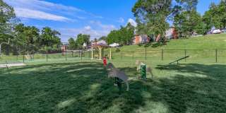 Southmoor Gallery 38