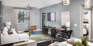 Locklyn West Palm Gallery 5