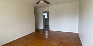 904 Mary St Gallery 2