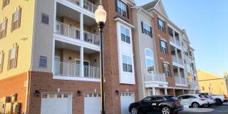 5333 PALOMINO Court Gallery 1