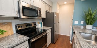 Royal Palms Gallery 4