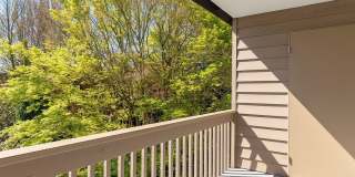 Luke Apartments Gallery 3