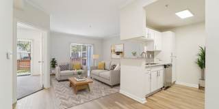 Derby at Steeplechase Gallery 46