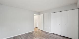 Grove at Alban Gallery 21