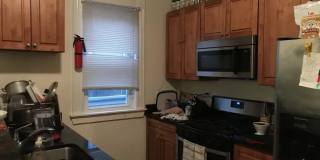 8 Carmel St Gallery 6