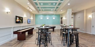 Stone Oak @ Parmer Gallery 51