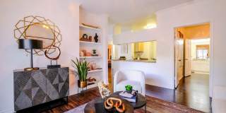 San Marin Gallery 26