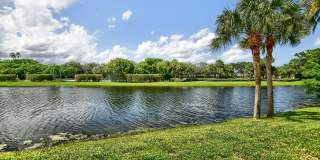 11073 Harbour Springs Circle Gallery 48
