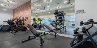 Steeplechase Gallery 8