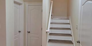 113 Beechleaf Ct Gallery 7
