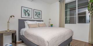 Vineyards Gallery 123