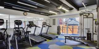 515 Clarkson Gallery 13