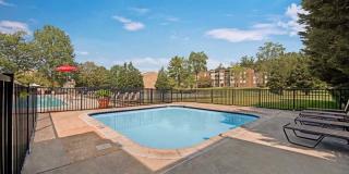 Cinnamon Run at Peppertree Farm Gallery 28