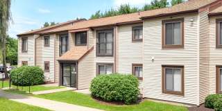 Tall Trees Gallery 11