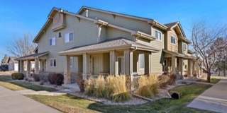 Townhome -2 bed 2.5 bath + bonus area Gallery 4