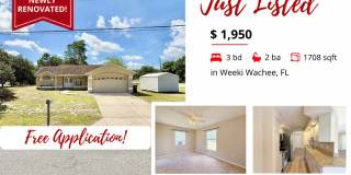 10300 Noddy Tern Road Gallery 1