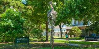 Durham Heights Gallery 61