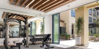 Springline Menlo Park Gallery 33