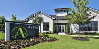 The Aster Gallery 37