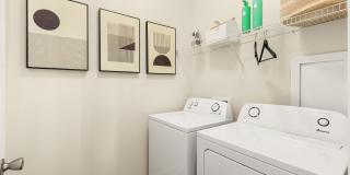 Arwen Vista Gallery 17