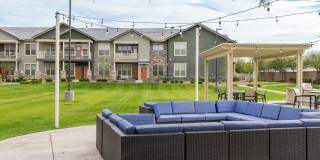 Ironwood at Happy Valley Gallery 13