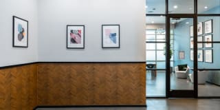 Domain Oakland Gallery 34