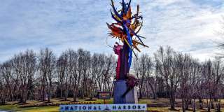 5815 ARBROATH DR Gallery 33