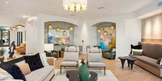 Alta Westwind Gallery 4