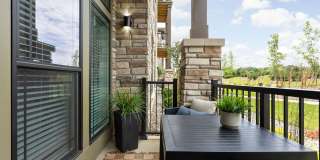 The Steadman Apartments Gallery 68