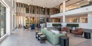 The Basin Gallery 55