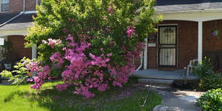 5153 FREDERICK AVENUE Gallery 1