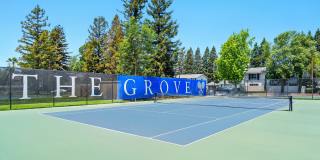 The Grove Luxury Apartments Gallery 45
