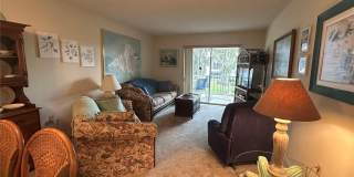 202 46TH AVENUE Terrace W Gallery 11