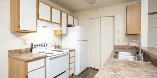 The Woods at McNeil Farms Gallery 9