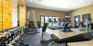 Olympus Alameda Gallery 28